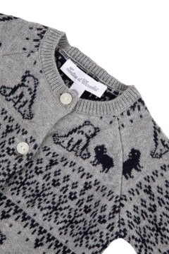 Erkek Bebek Kutup Ayılı Hırka