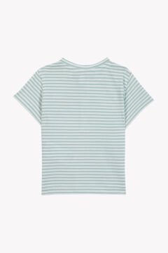 Erkek Çocuk Kısa Kollu Çizgili T-Shirt yeşil