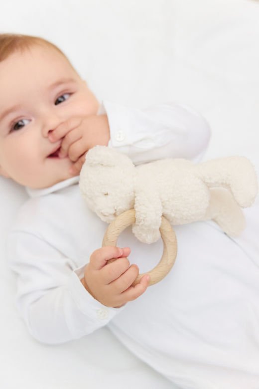 Çıngıraklı Ekru Ayı Gaston