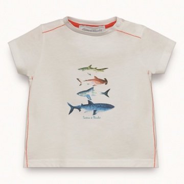Erkek Çocuk Kısa Kollu T-Shirt