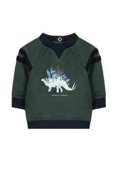 Erkek Bebek Sweatshirt