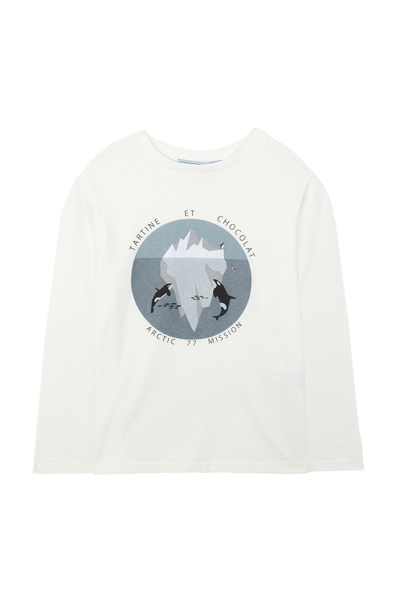 Erkek Çocuk T-Shirt