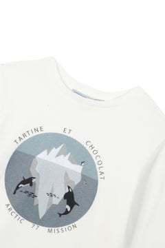 Erkek Çocuk T-Shirt