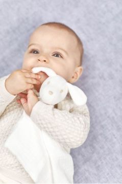 Organik Bebek Uyku Arkadaşı Köpek