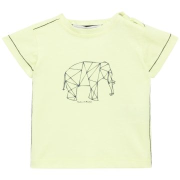 Erkek Bebek Kısa Kollu T-Shirt