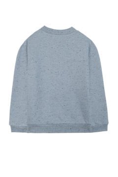 Erkek Çocuk Sweatshirt