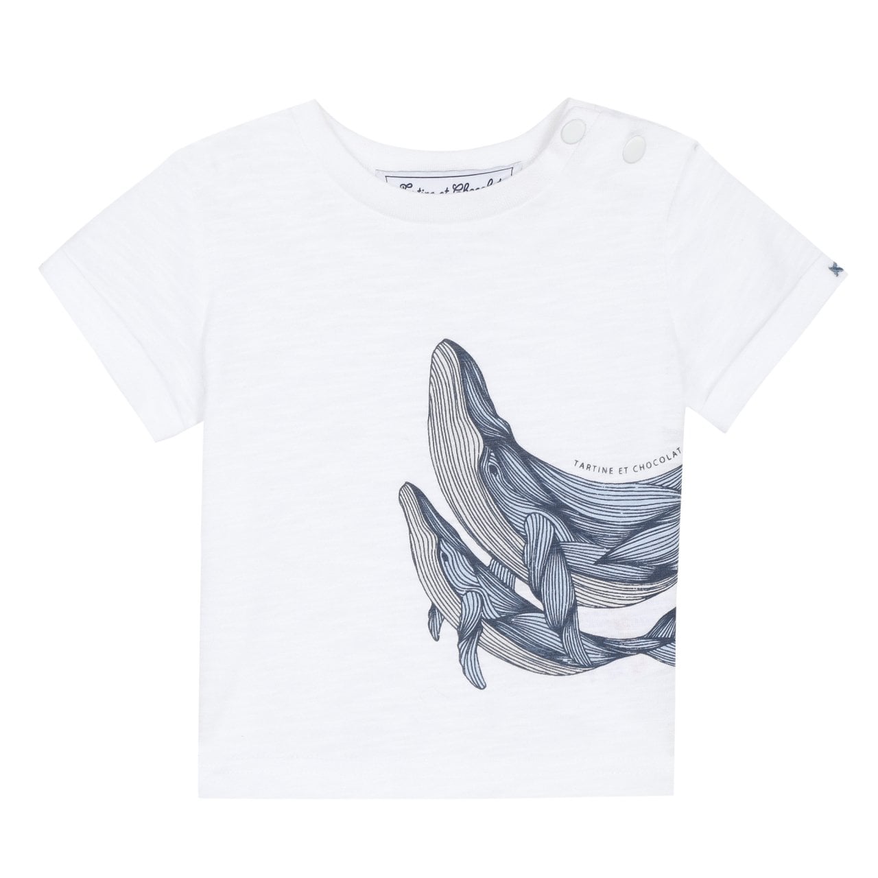 Erkek Bebek T-Shirt